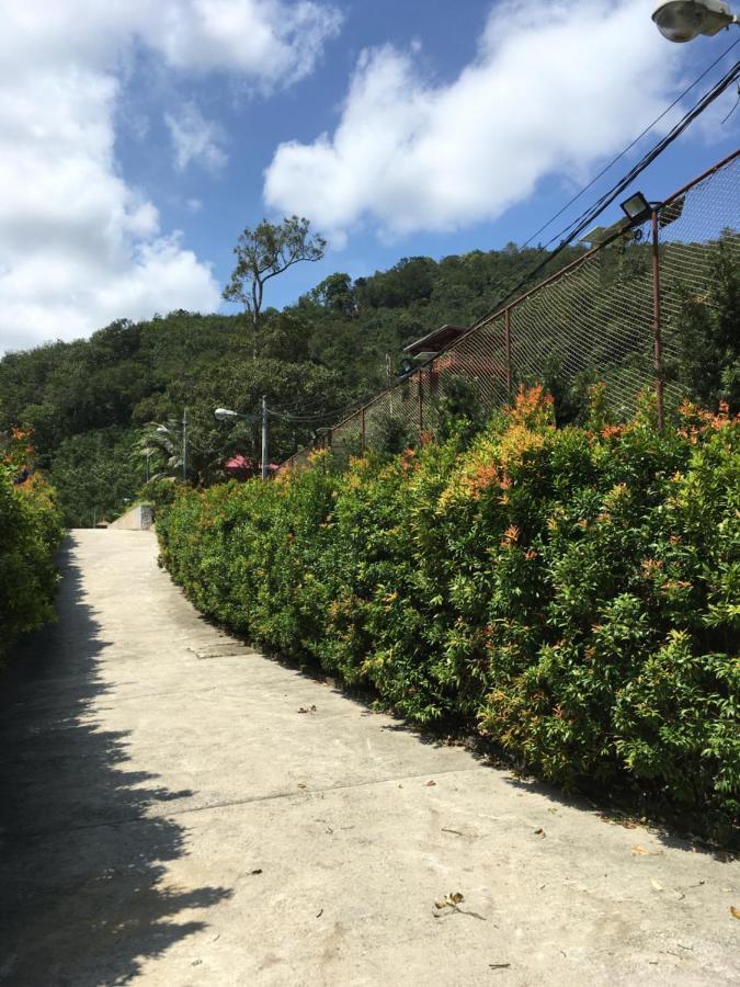 סמנייך Paradise Valley Resort Broga מראה חיצוני תמונה